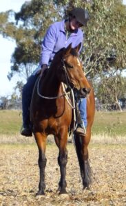 FAREWELL VIEWHILL SLIM