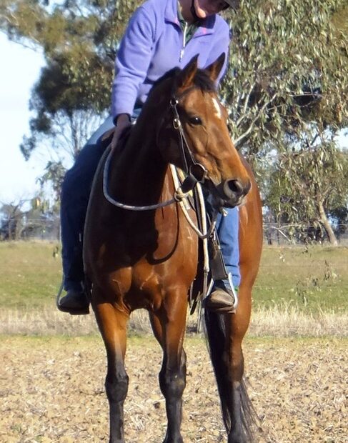 FAREWELL VIEWHILL SLIM