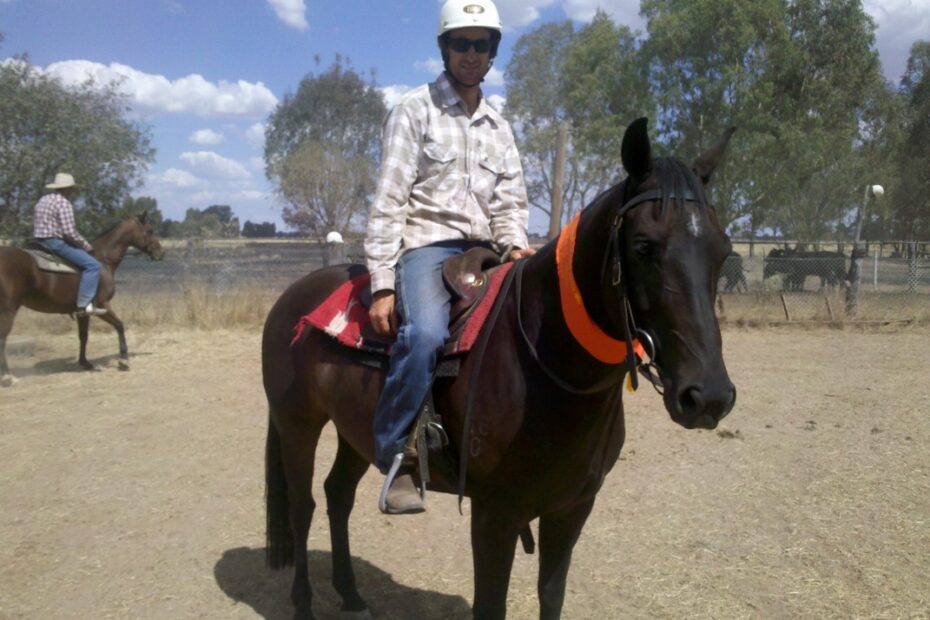 Wilby Campdraft