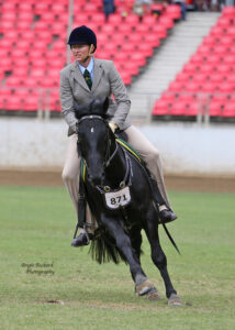 Sydney Royal 2014