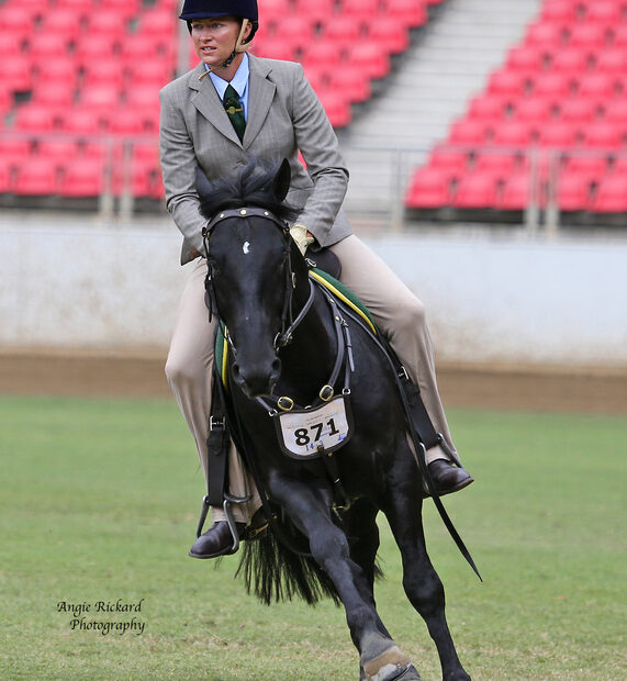 Sydney Royal 2014