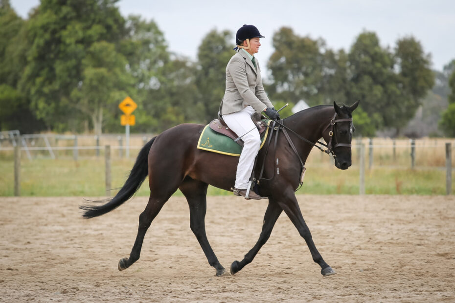 ALLHOURS PIPPA DEBUT
