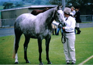 Broughtonvale Millennium